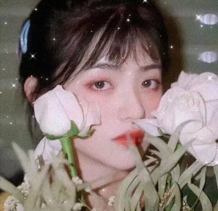 编辑情人梦
